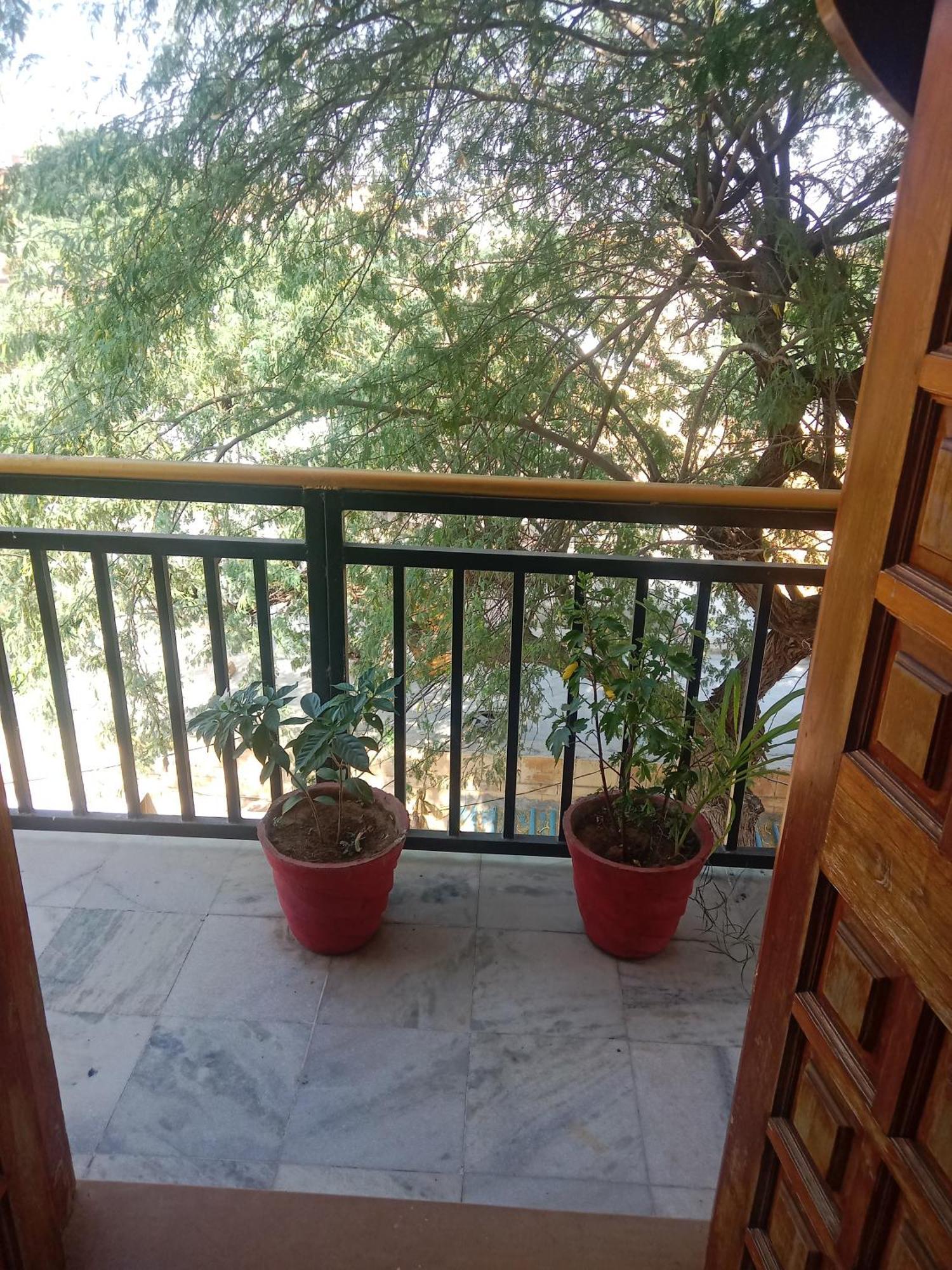 Hotel Neem Haveli Jaisalmer Luaran gambar