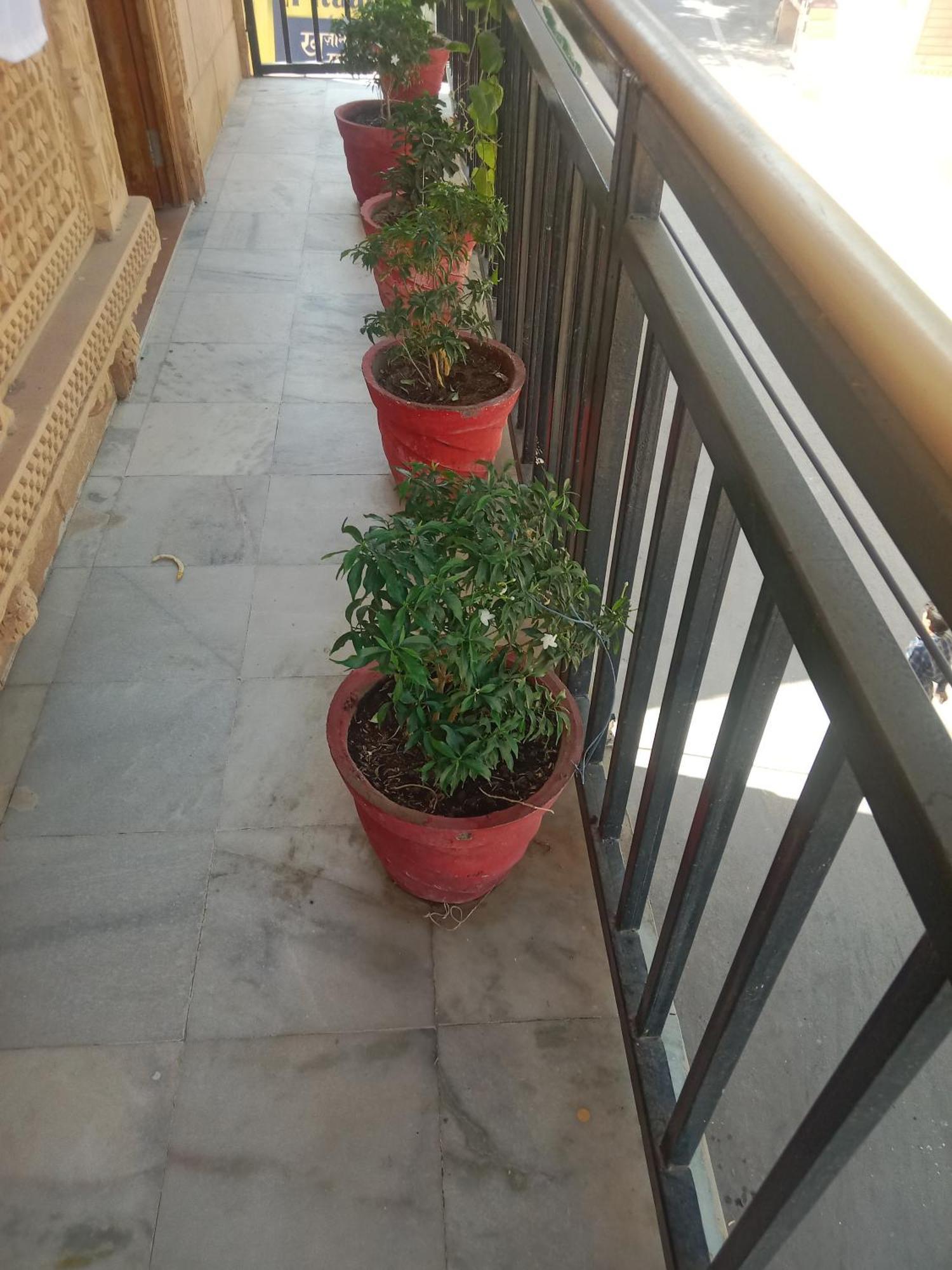 Hotel Neem Haveli Jaisalmer Luaran gambar